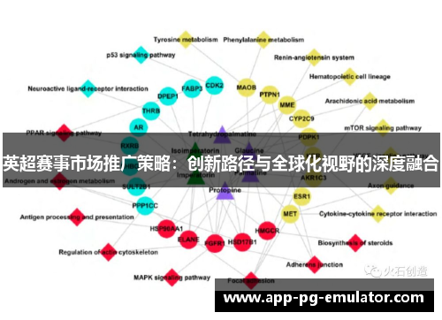 英超赛事市场推广策略：创新路径与全球化视野的深度融合